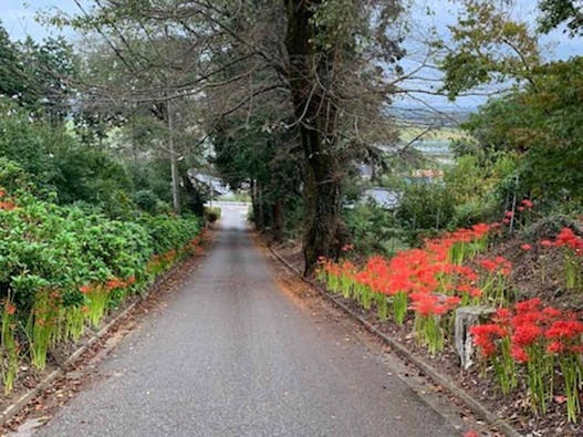 大平ぶどうの森 樹木葬墓地