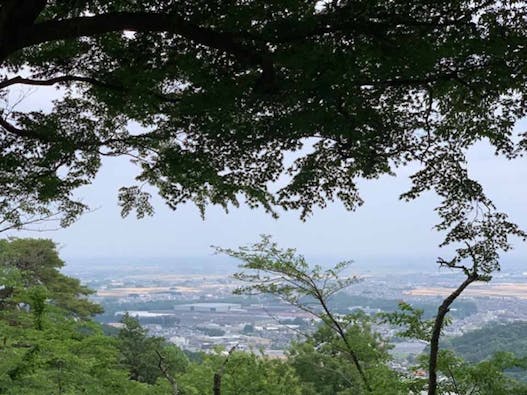 大平ぶどうの森 樹木葬墓地