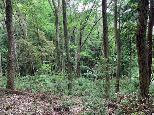 大平ぶどうの森 樹木葬墓地