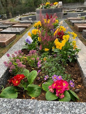大平ぶどうの森 樹木葬墓地