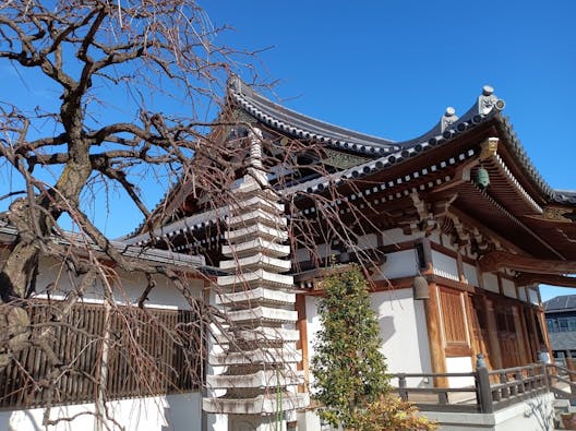 蓮光寺 ルームセメタリー