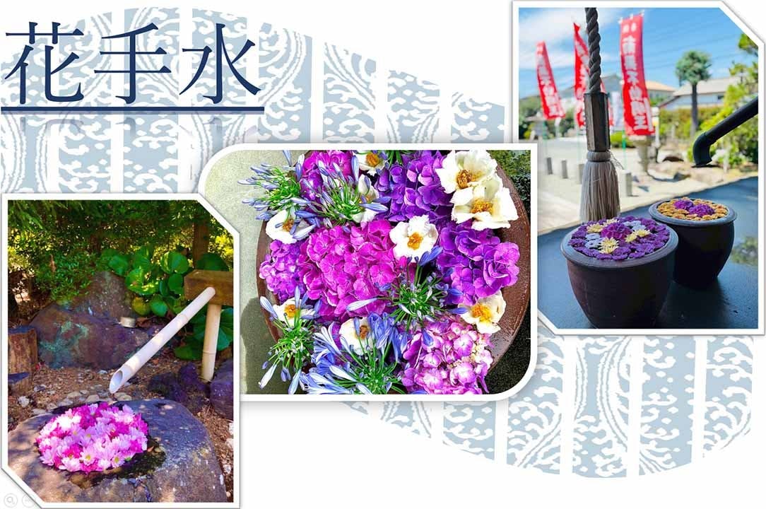 小田原霊園　円蔵院 ランタンに照らされた夏の宵に是非ご参加ください