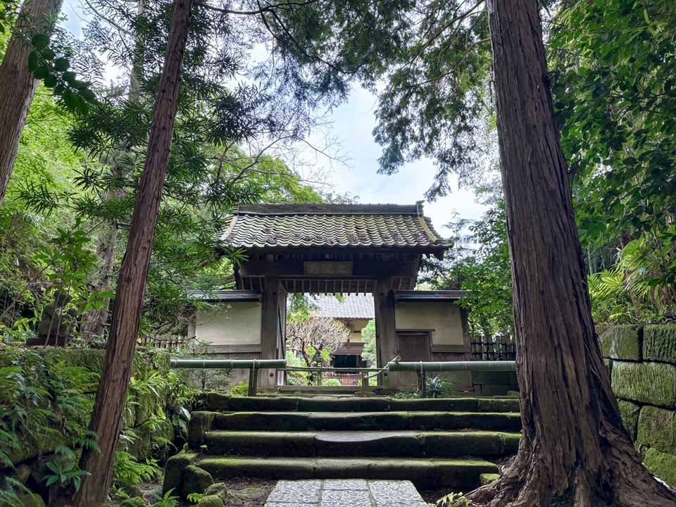 正統院　北鎌倉四季の風樹木葬墓地