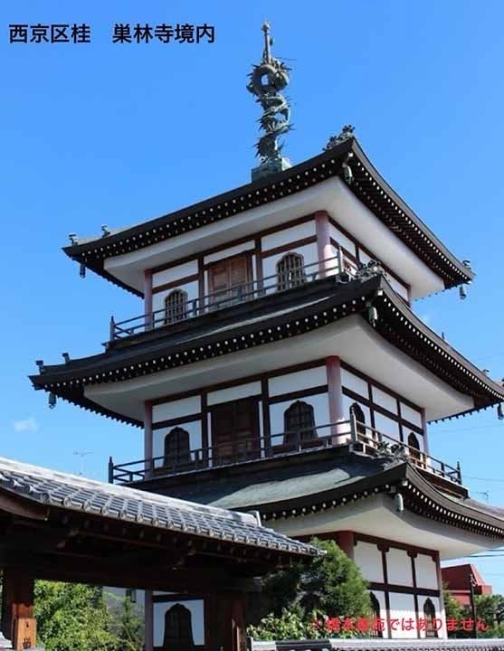 巣林寺橋本墓苑 ピースフルガーデンの画像