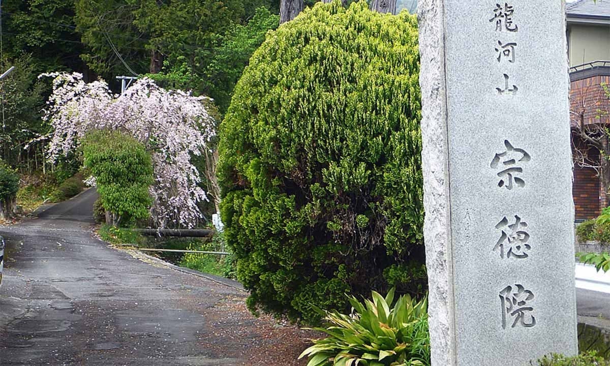 清水興津樹木葬墓地