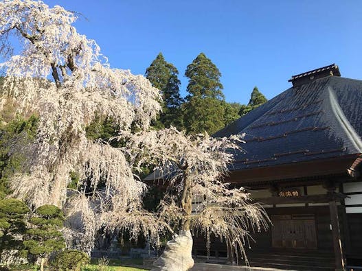 長玅寺　のうこつぼ