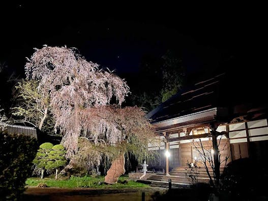 長玅寺　のうこつぼ