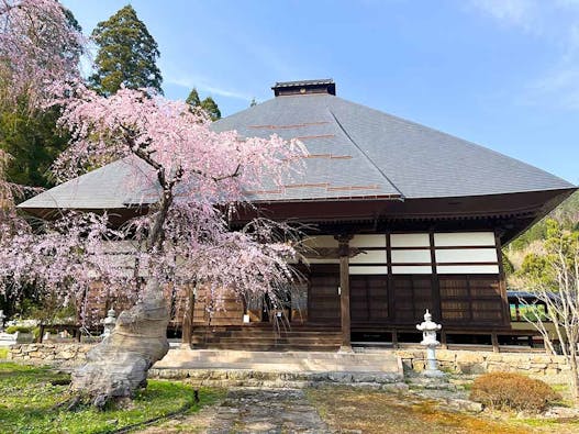 長玅寺　のうこつぼ