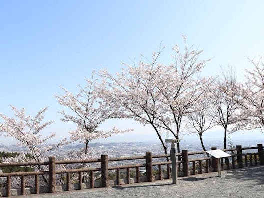 油山観音「潮音堂」永代供養塔