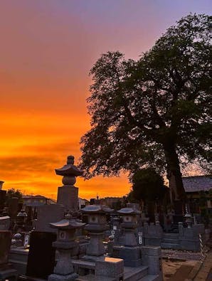 蓮花院 永代供養・樹木葬
