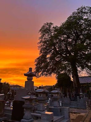 蓮花院　永代供養・樹木葬