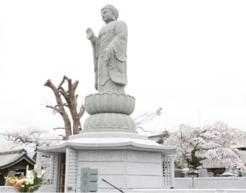 洞泉院 永代供養塔