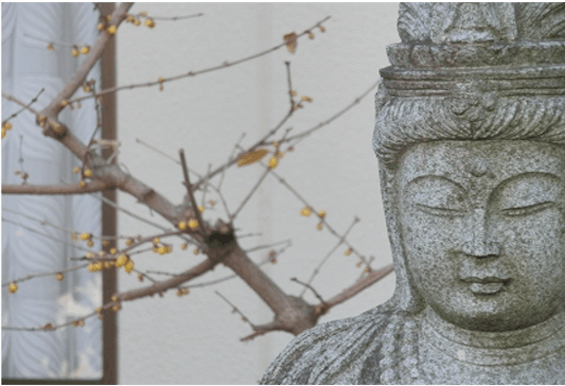 洞泉院 永代供養塔