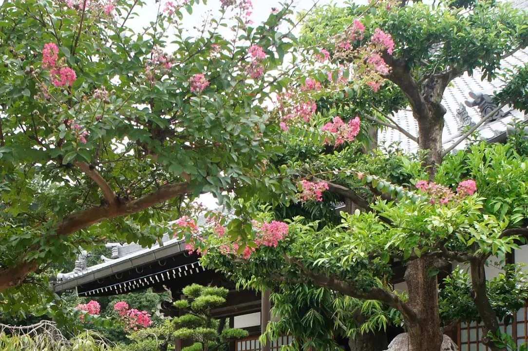 名古屋守山霊園 浄土院 境内風景