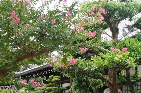 名古屋守山霊園 浄土院