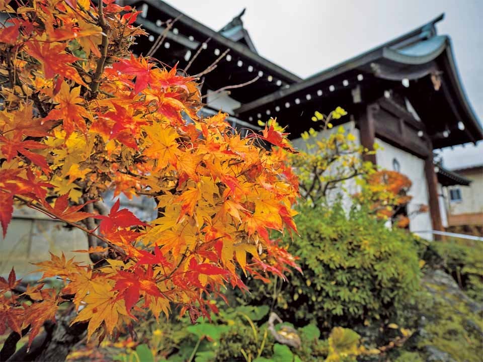 山形浄園　明善寺