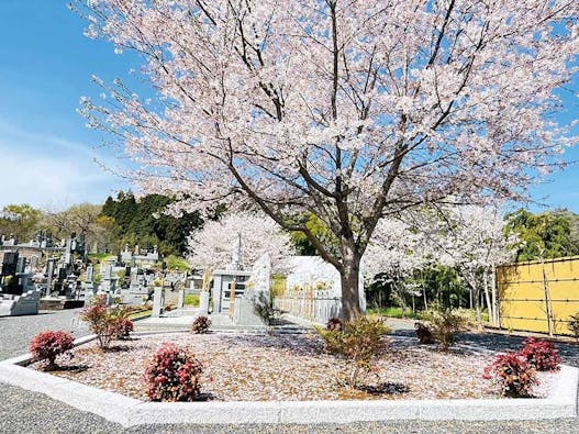 心花の里樹木葬墓地 永代供養・樹木葬墓苑  心花の里  報恩寺内