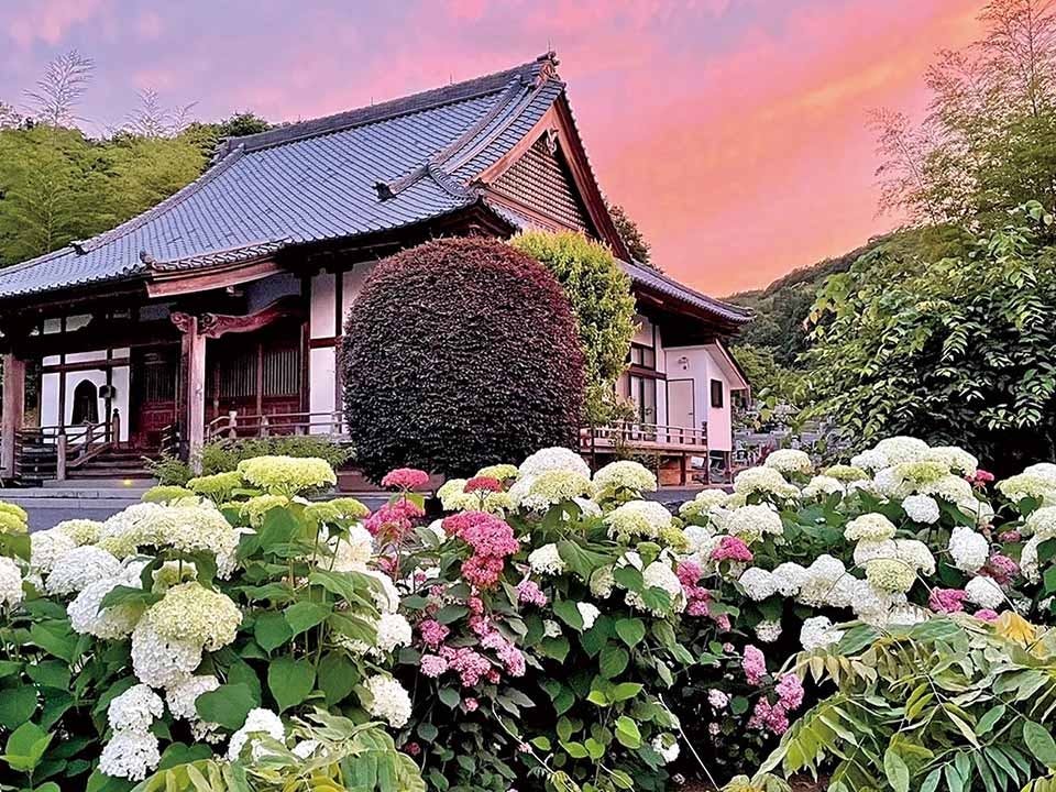 心花の里樹木葬墓地