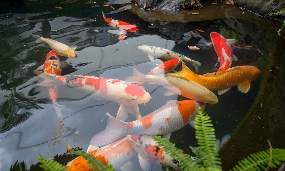 和歌山霊園 高野寺