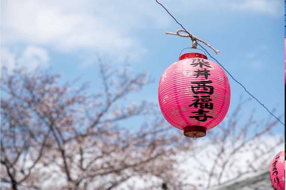 駒込サクラテラス霊園 西福寺