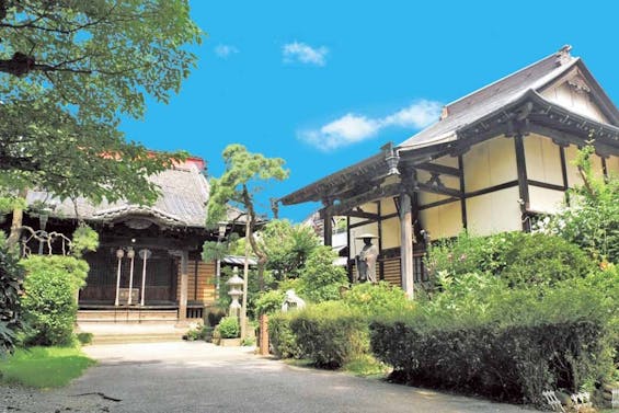 松戸永代供養墓霊園 善照寺