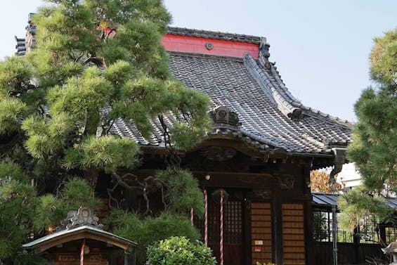 松戸永代供養墓霊園 善照寺