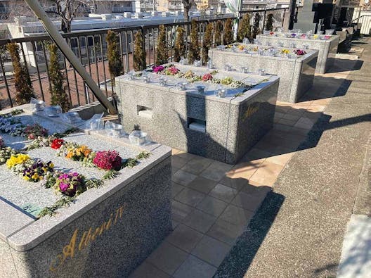 樹木葬「相模原アルベリ」