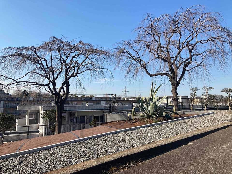 樹木葬「相模原アルベリ」