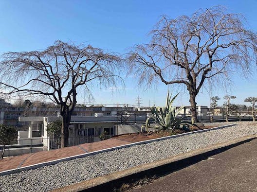 樹木葬「相模原アルベリ」