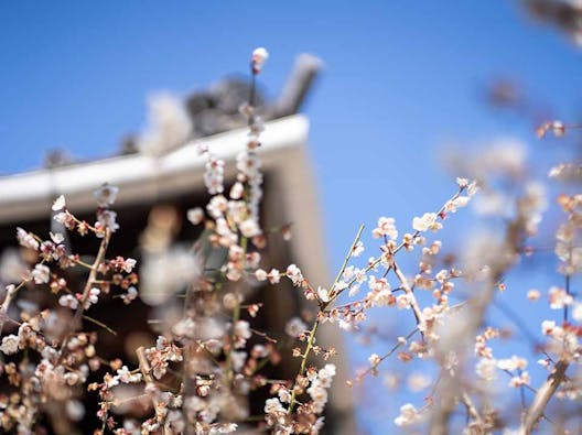 小石川霊園 善光寺