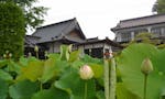 三古寺墓苑　樹木葬 本堂