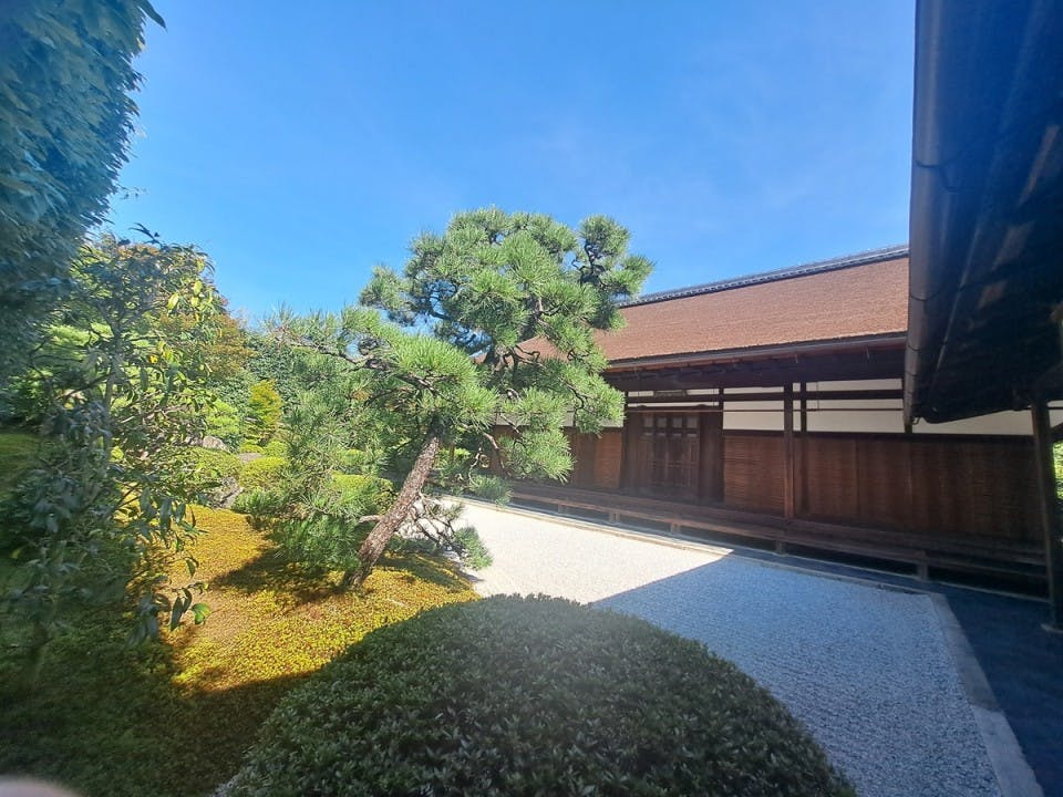 臨済宗大徳寺塔頭 興臨院(京都市北区)の費用・販売中区画・口コミ