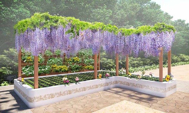 船橋昭和浄苑　本堂収骨付き藤の樹木葬