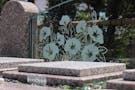 紫金山 慈眼寺 個別永代供養墓・樹木葬 墓域