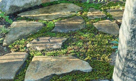 墨田区霊園 想盆