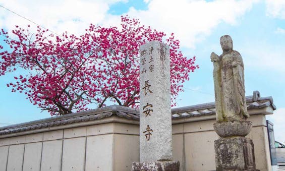 長安寺 永代供養墓・樹木葬