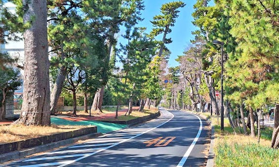 湘南大磯汐彩樹木葬墓地