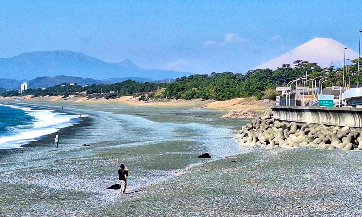 湘南大磯汐彩樹木葬墓地