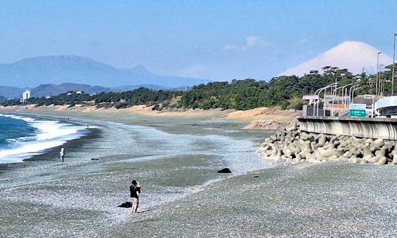 湘南大磯汐彩樹木葬墓地