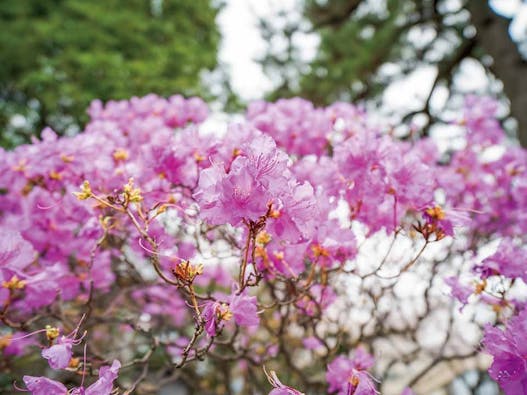 仙台新寺霊園 東秀院