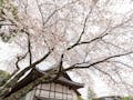 仙台新寺霊園 東秀院