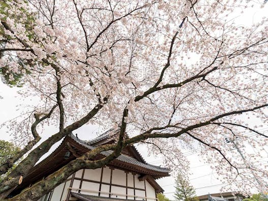 仙台新寺霊園 東秀院