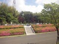 東京多摩霊園 樹木葬 サツキの丘
