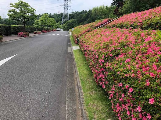 東京多摩霊園 樹木葬
