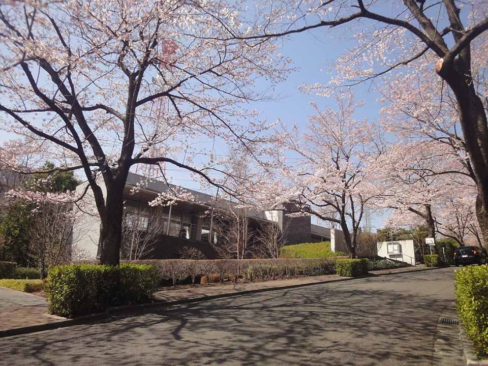 東京多摩霊園 樹木葬