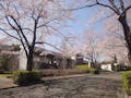 東京多摩霊園 樹木葬 桜と管理棟