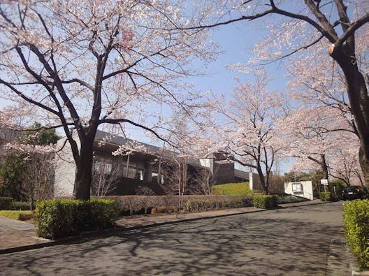 東京多摩霊園 樹木葬
