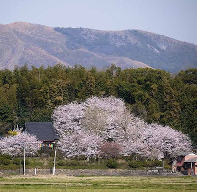 正受寺 樹木葬「ひかりガーデン」