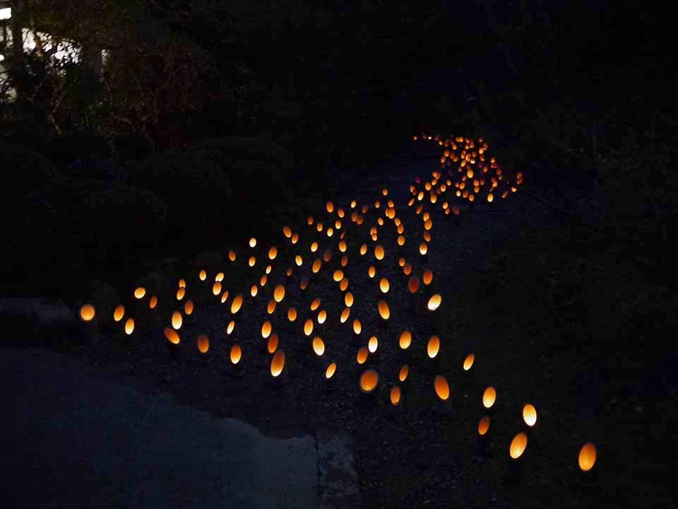 正受寺 樹木葬「ひかりガーデン」