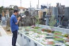葛飾 源照寺アルヴェアージュ アルヴェアージュ　お参りの様子
